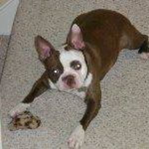 Meet your Posher, Armah